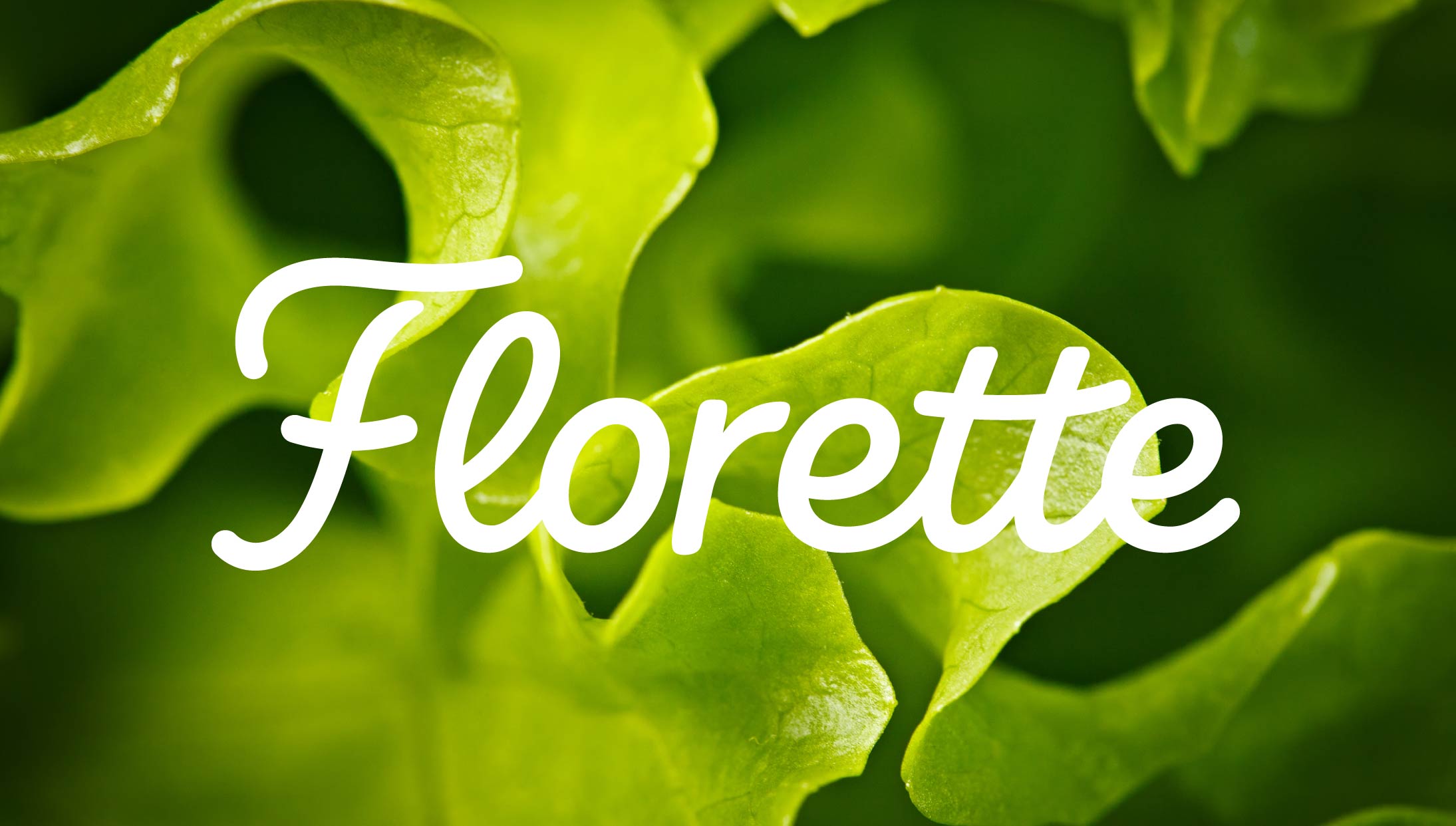 Florette_Imagen Principal